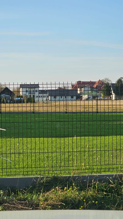 Trawniki , glebogryzarka separacyjna , sianie , równanie Krosno