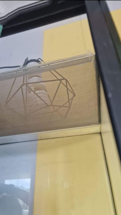 Terarium dla kameleona