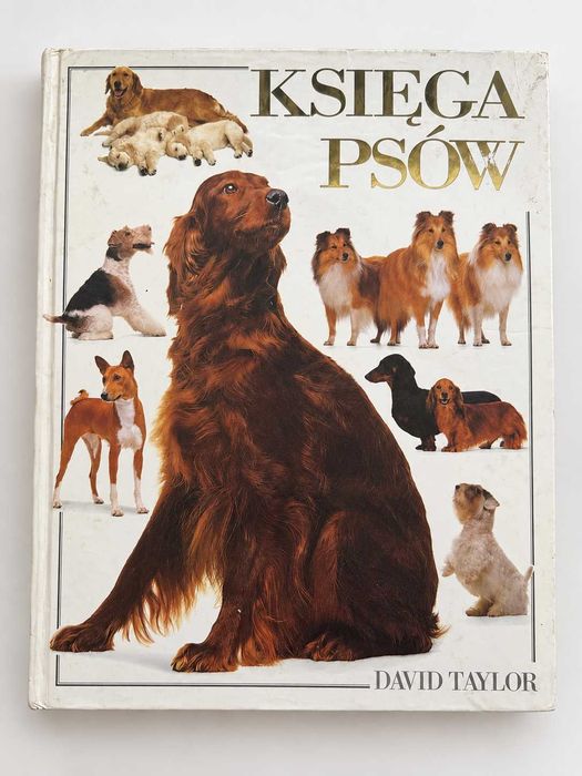 Księga psów – David Taylor – duży ilustrowany album