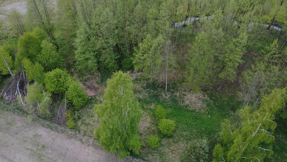 Sprzedam działkę w Charzykowach - blisko jeziora