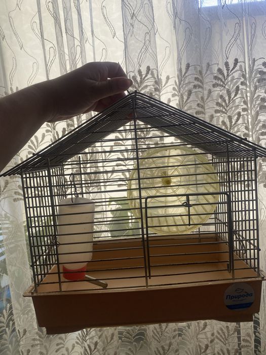 Клітка      для.         хомʼяка