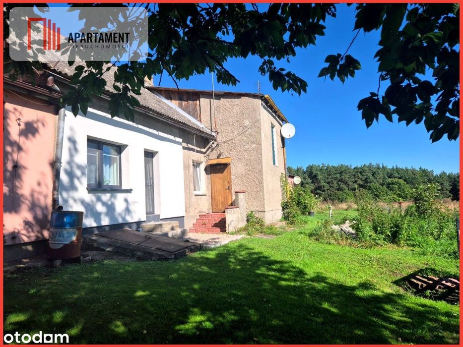 Mieszkanie do remontu - Demlin