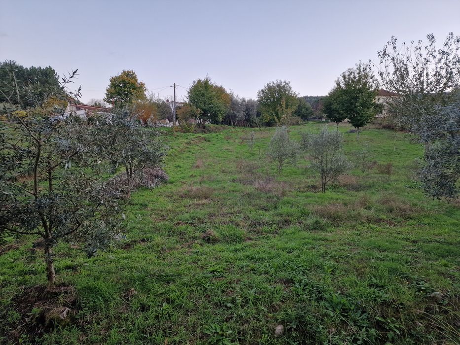 Terreno rústico com 1790m²