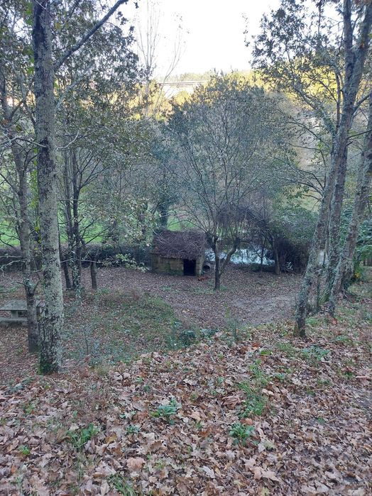 Terreno/Quinta de Lazer com 2.580 m² junto à Ribeira de Juncal | Soalhães