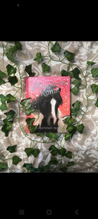 Magiczny konik czarodziejskie przygody