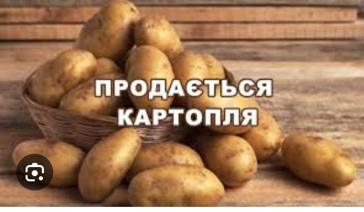 Продам картоплю картошку / картофель