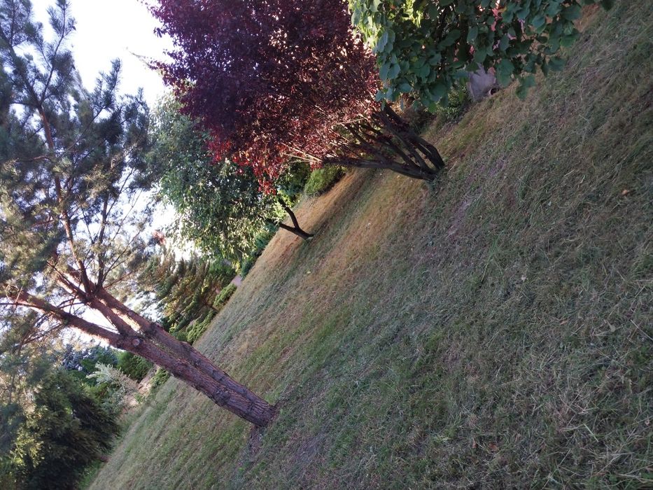 Зачистка територій Львівська область!