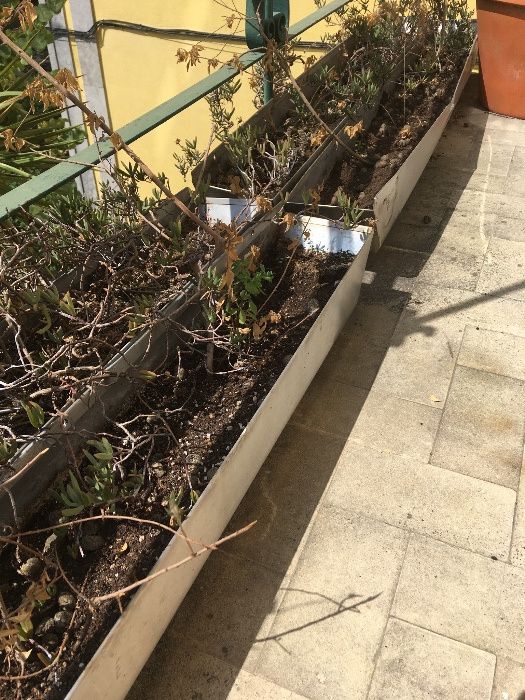 Floreiras em Aço Inoxidável