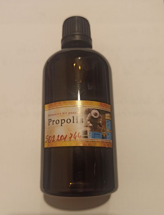 Miód spadź iglasta jodłowa