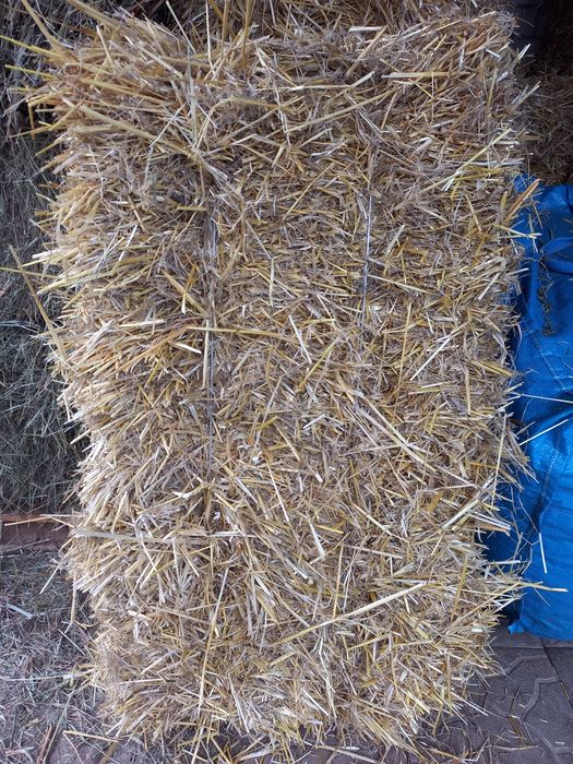 Продам сено тюки большие солома ДОСТАВКА
