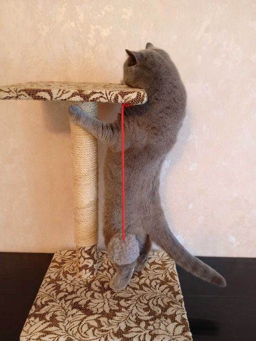 РОЗПРОДАЖ!  Кігтеточка, дряпка для кошек.