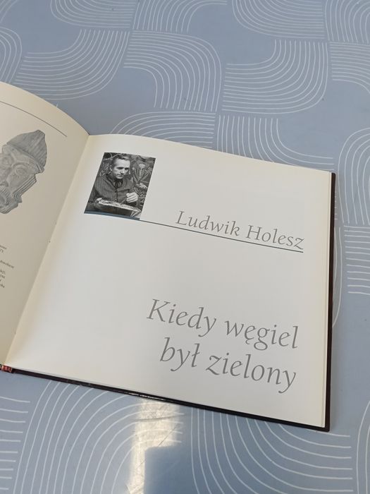 Książka Galeria rodziny Holeszów