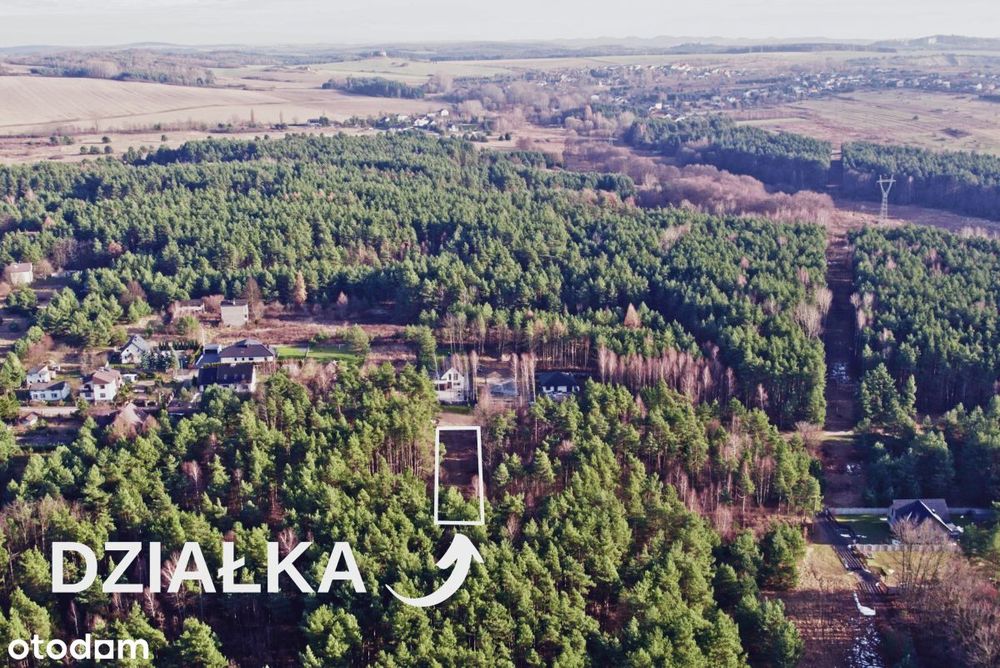 W nowej cenie - Piękna działka w otoczeniu lasu