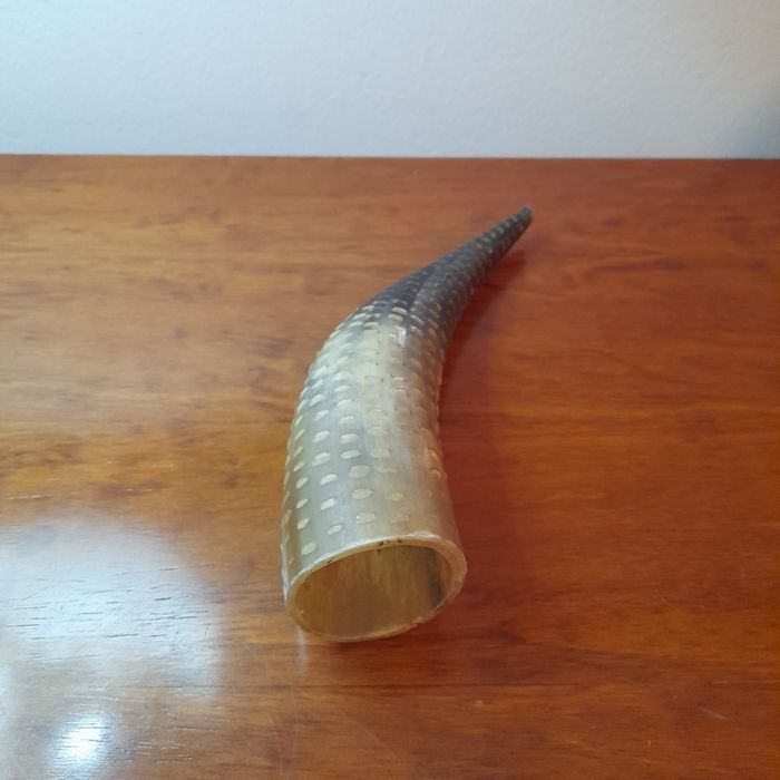 Corno da sorte protecção