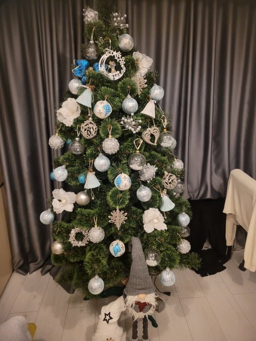 Продам сосну 2 метри висота