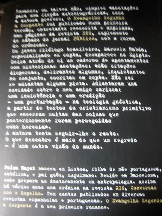 O evangelho segundo a serpente - Faíza Hayat
