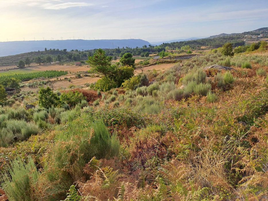Terreno Rústico em Paredes da Beira com 9200 m2