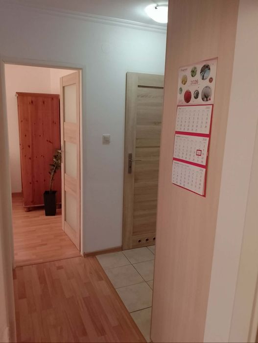 Mieszkanie do wynajęcia M3
