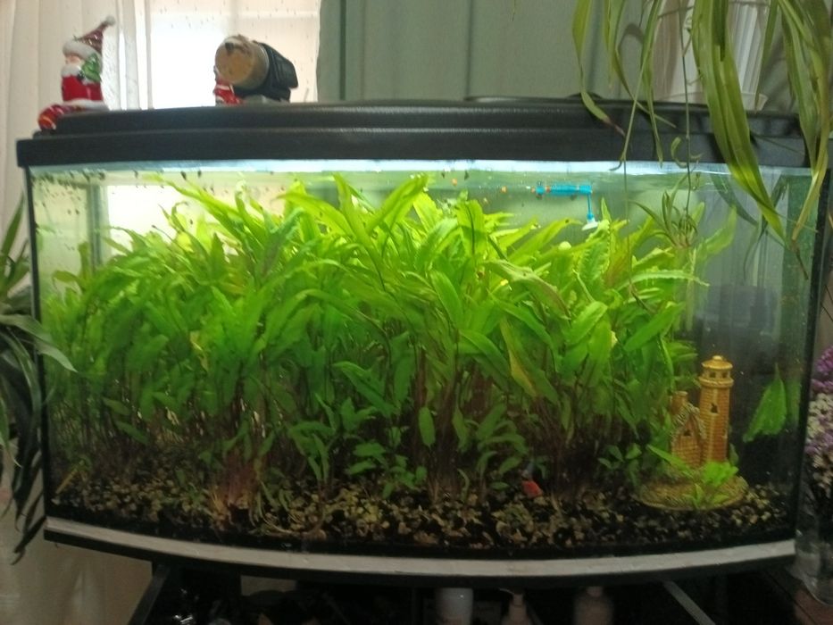 Продам акваріум  з тумбой