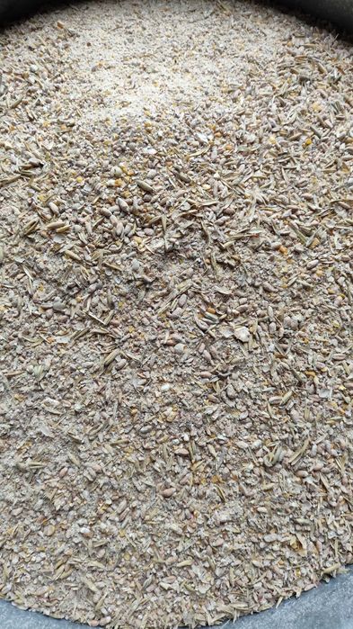 Śruta zbożowa, mieszanka paszowa - workowana 50kg