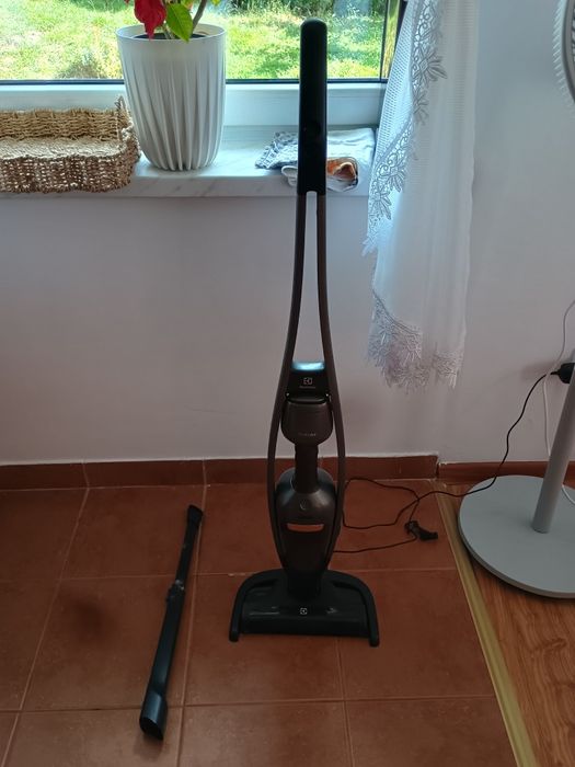 Odkurzacz pionowy Electrolux Pure Q9