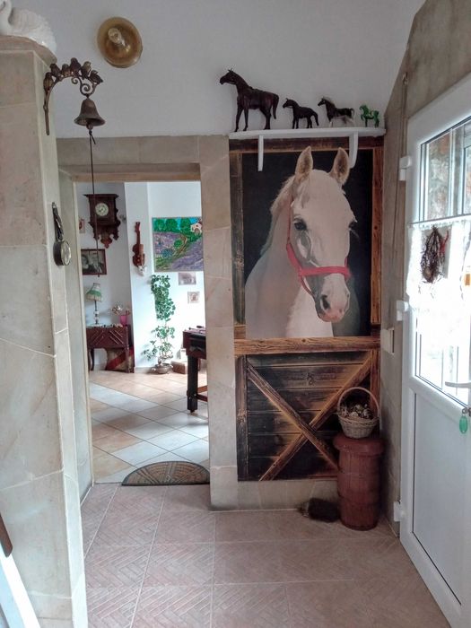 domek górski strumień w Masywie Śnieżnika