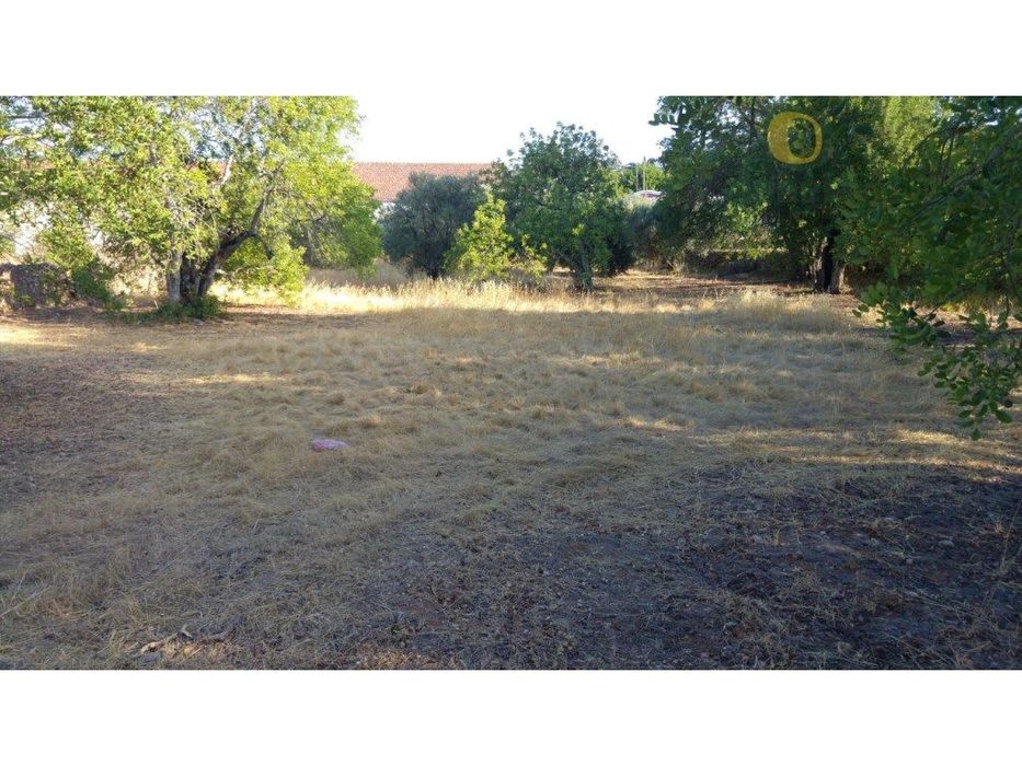 Terreno perto de S. Brás de Alportel