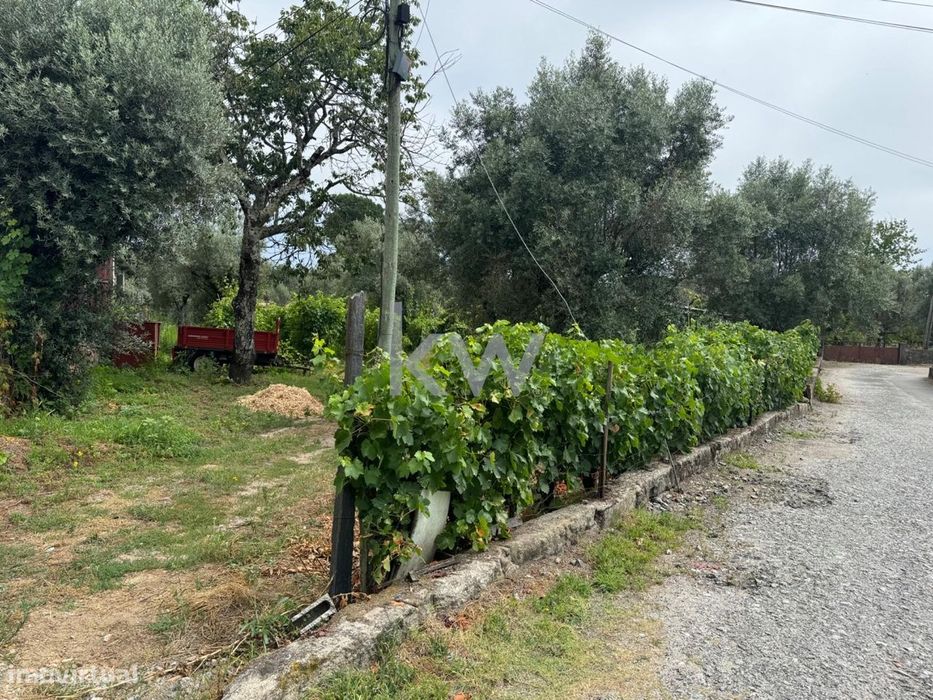 Terreno rústico para venda em Casal Jusão, Silgueiros  com 1055m2 — São João de Lourosa, Viseu