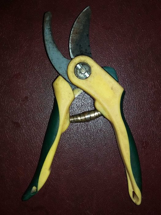 Секатор садовый рабочий