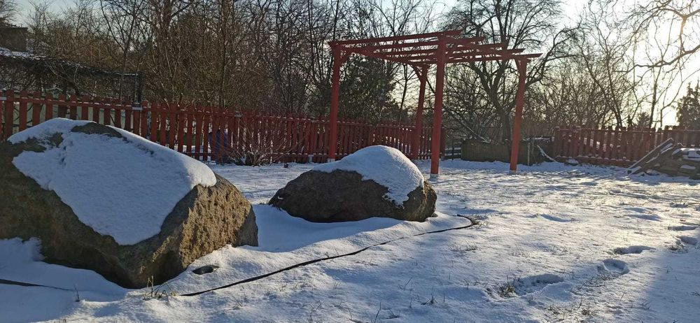 Działka ROD Związkowiec