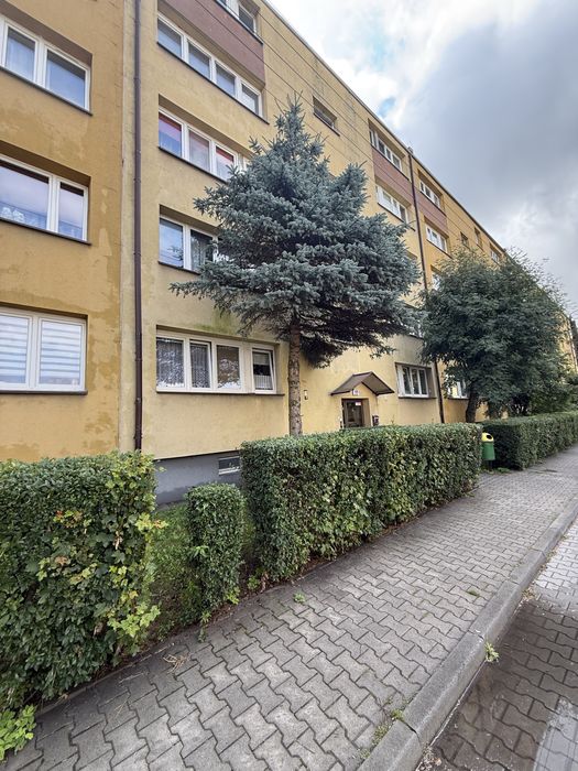 Nowa Oferta! Świetochłowice ul. Śląska