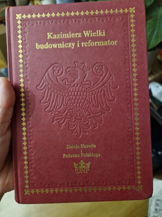 Kazimierz Wielki budowniczy i reformator