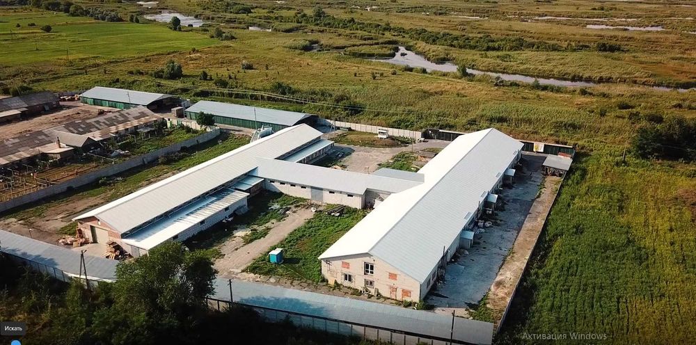 Продаж діючого деревообробного комплексу (Експорт / Amazon)