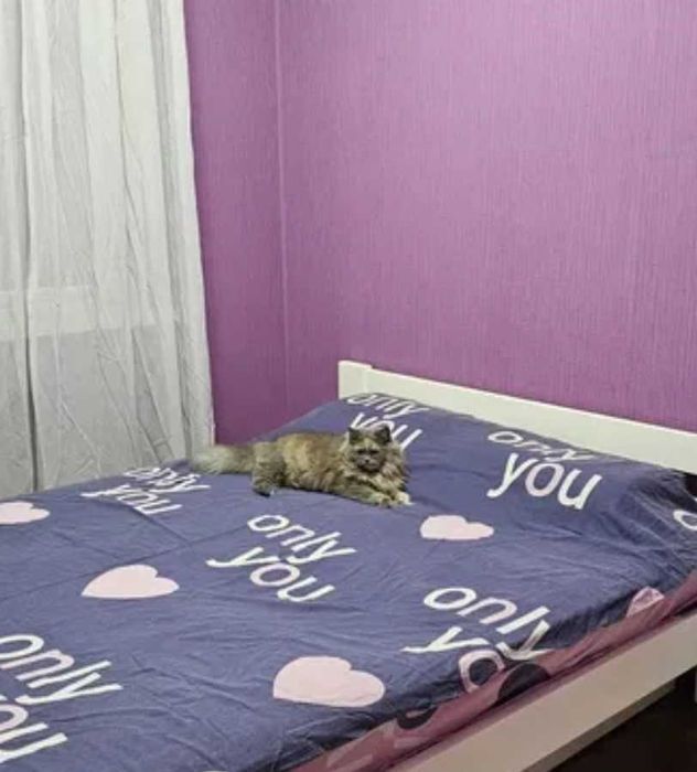 2 кім РЕМОНТ середній поверх район ПОЛЯ (Кірова) (718855)