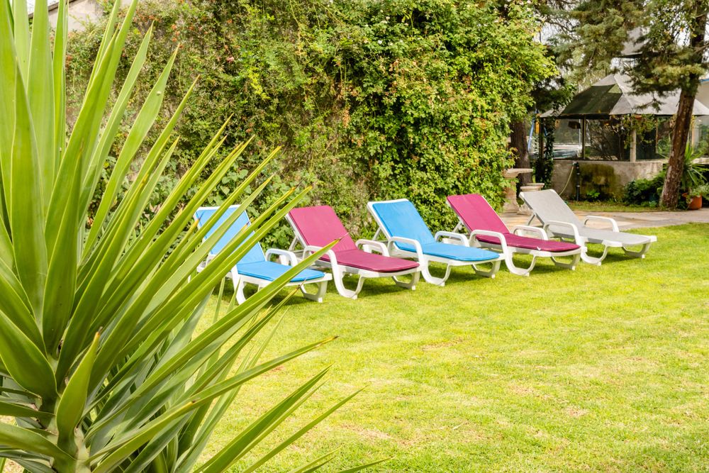 Quinta no Ribatejo (casa de férias)