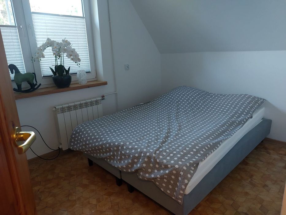 Domek do wynajęcia - Zygmuntówka w lesie!