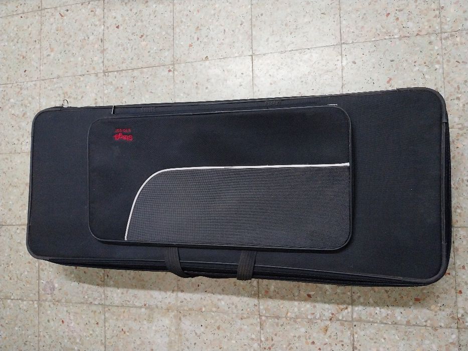 Bag (mala) transporte