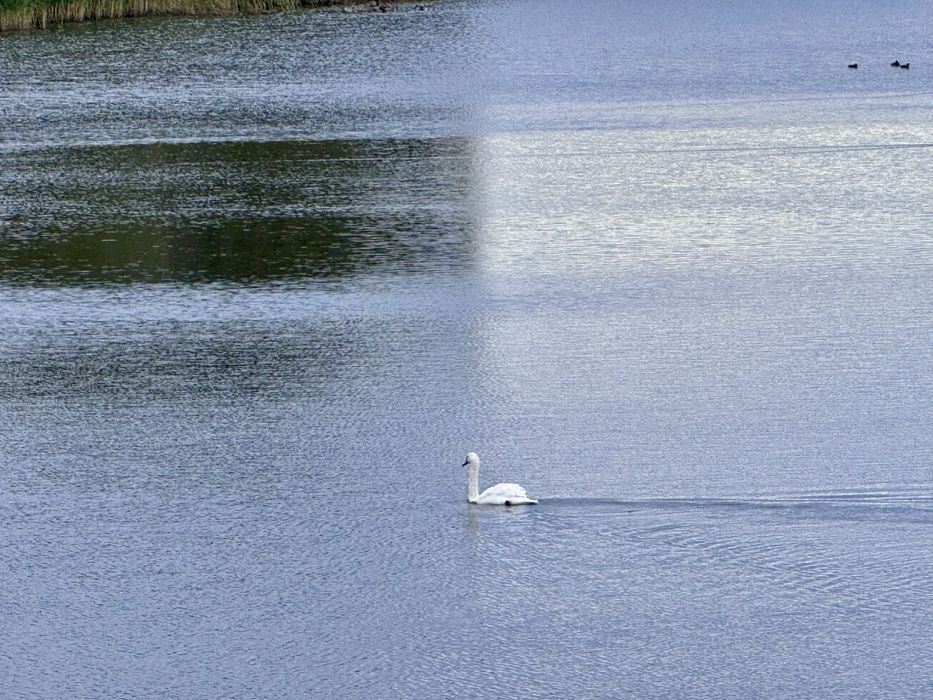 Продам будинок(дача) з великим городом