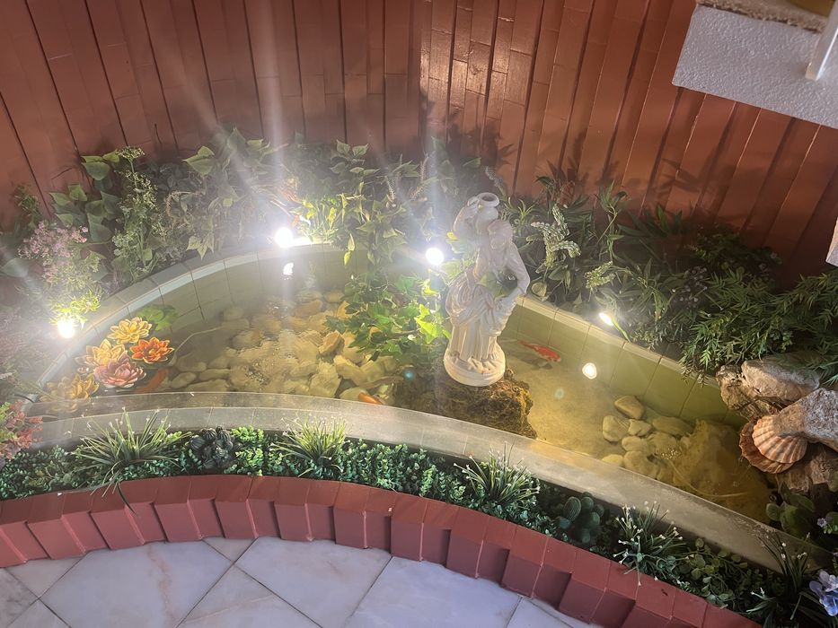 Manutenção de aquarios e lagos, Aveiro/setubal