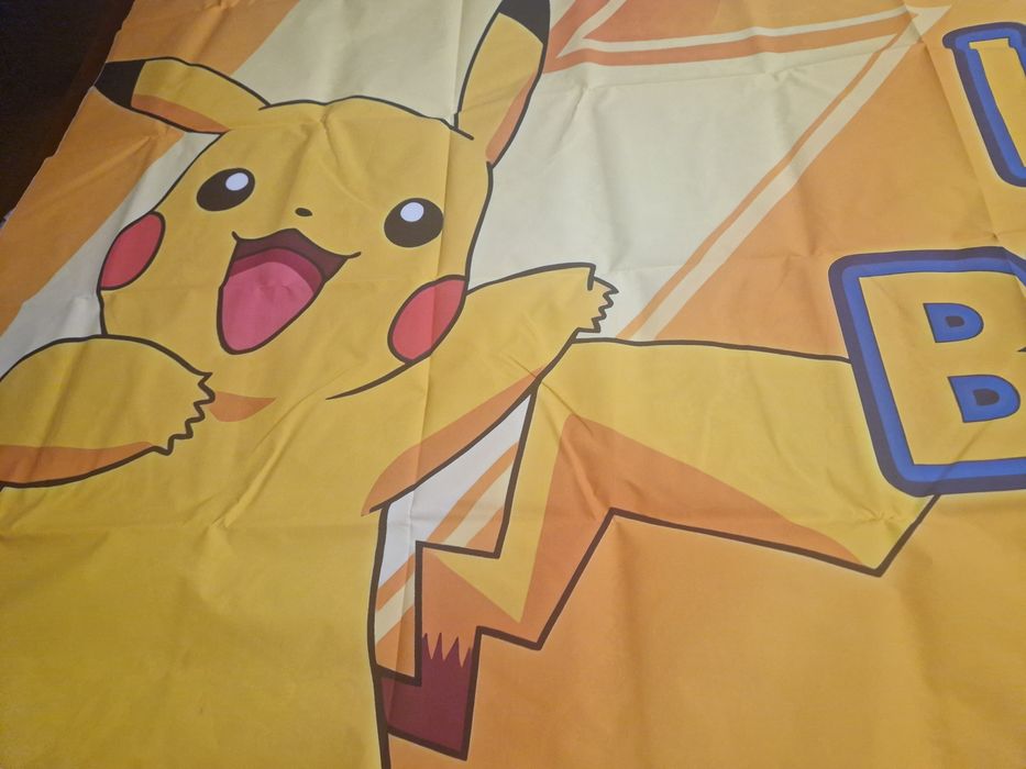 Festa poster de pokemon