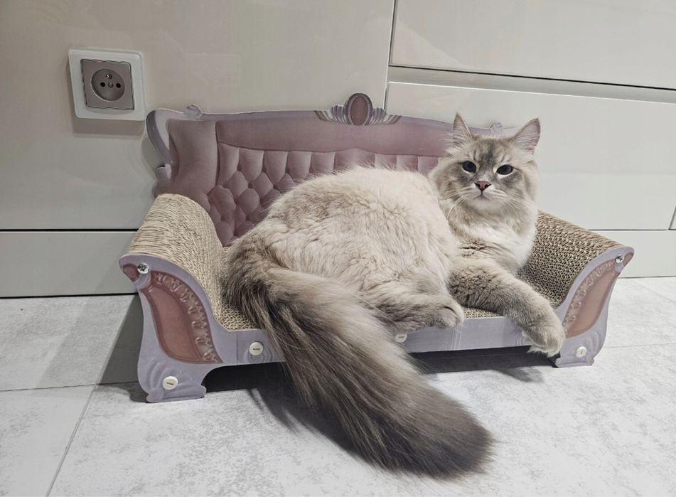 Drapak tekturowy dla kota sofa legowisko leżak