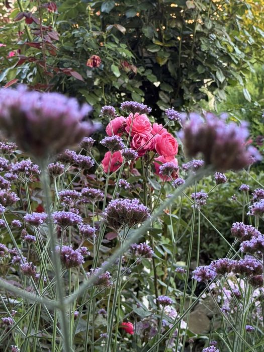 Pielegnacja ogrodów