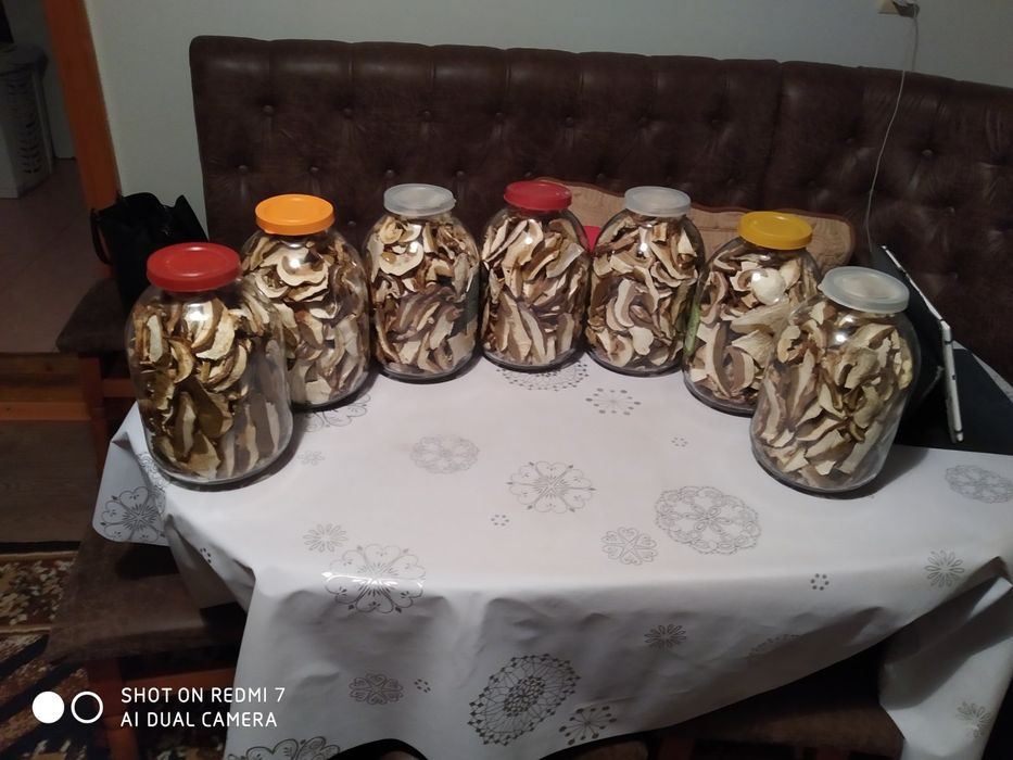 Сушені білі гриби