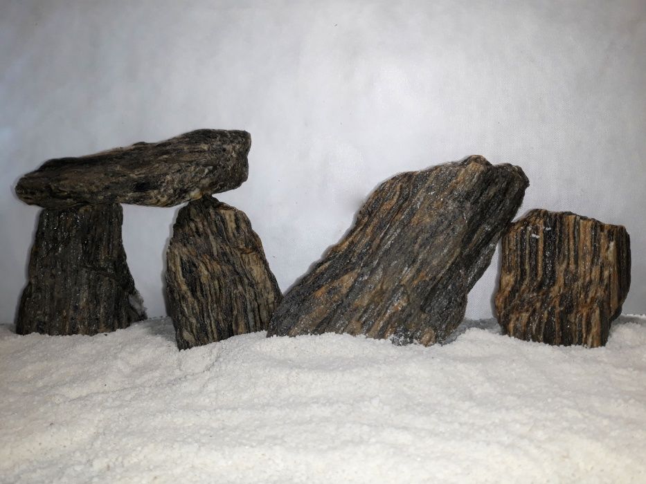 Łupek drzewiasty do akwarium - wszystkie biotopy 50-250 mm