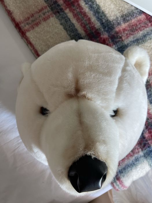 Cabeça de Urso Polar de Peluche
