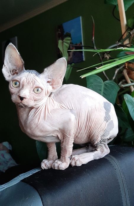 Хлопчик та дівчинка