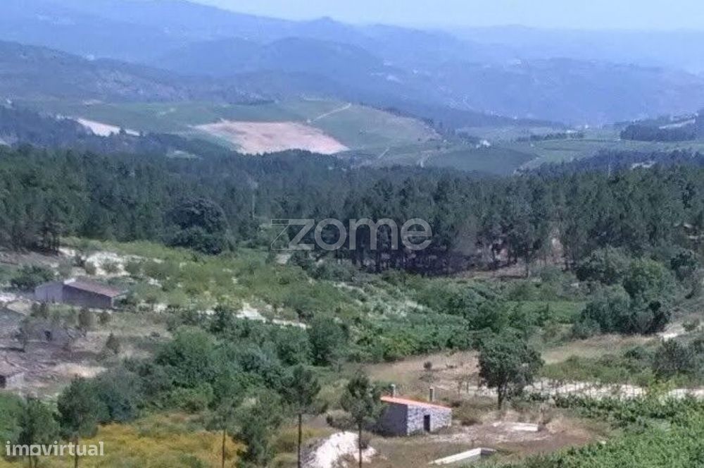 Terreno Rústico com 3.500 m² no Alto Douro Vinhateiro