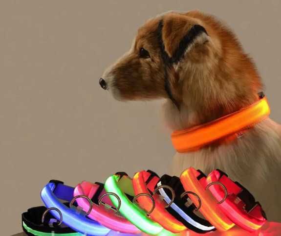 Нашийник для Собака з Підсвіткою і зарядкою від USB Animals ошейник