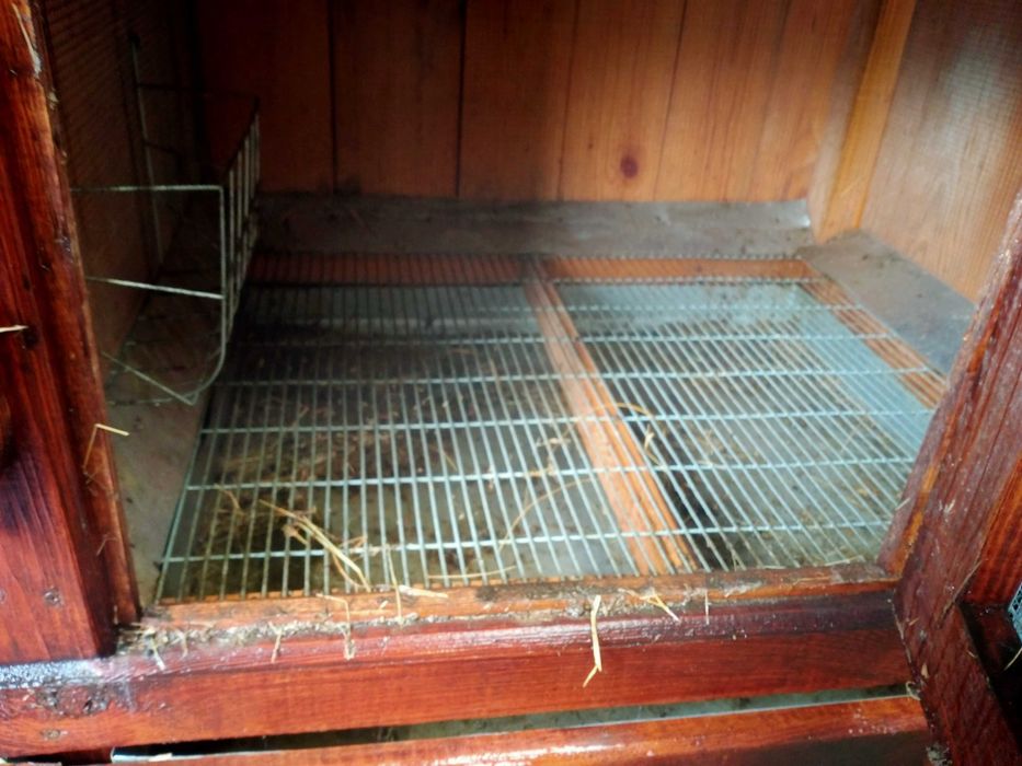 Klatki do hodowli królików profesjonalne