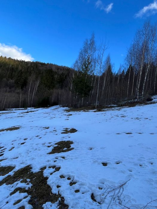 Продається земельна ділянка